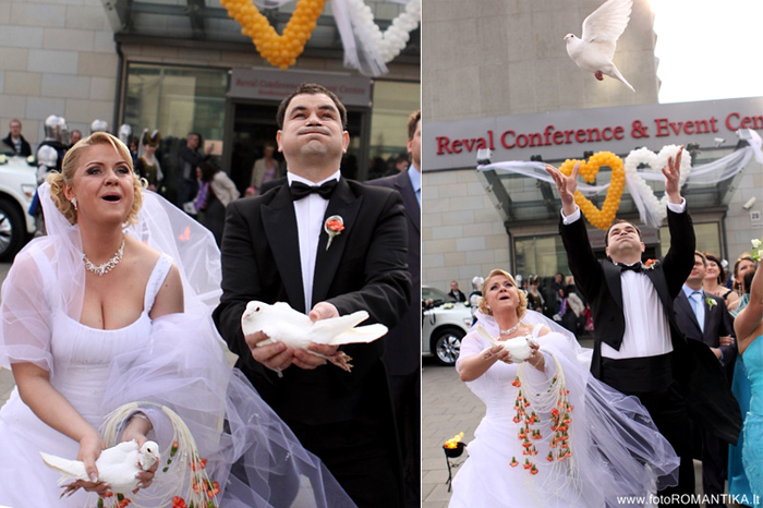 Balti balandiai vestuvse Vilniuje